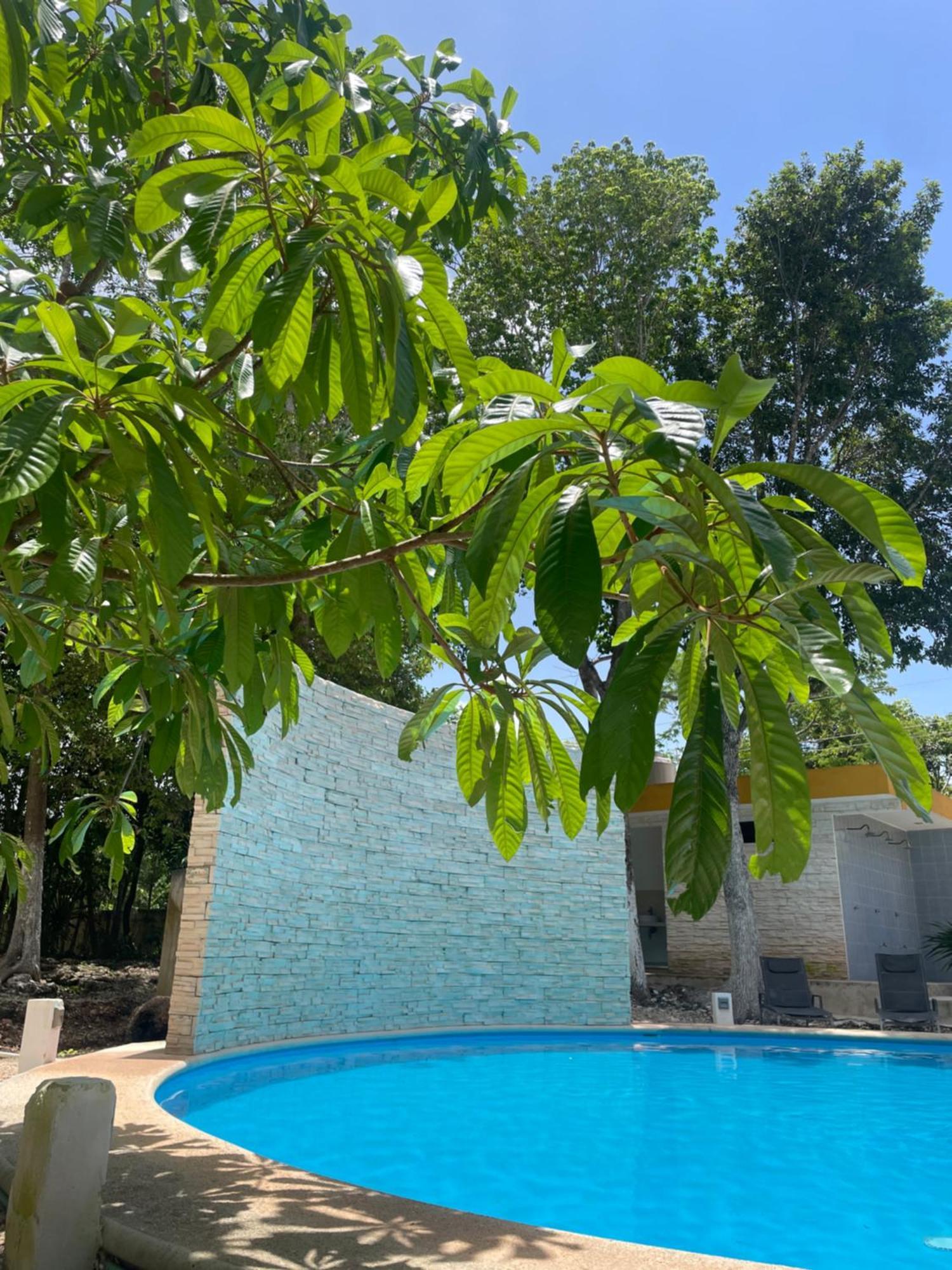 Ranch Las Chulas Hotel And Restaurant 푸에르토 모렐로스 외부 사진